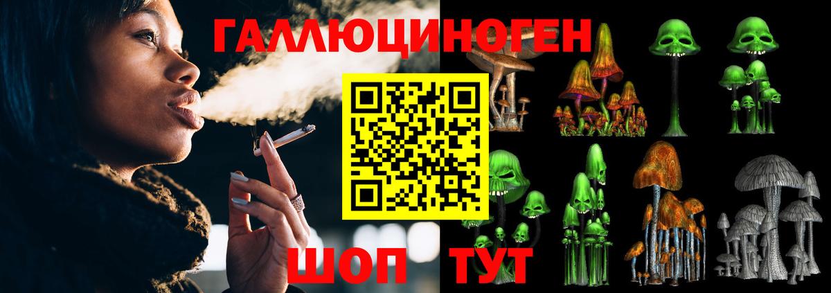 Мелеуз  дарнет шоп  Вход с VPN  Галлюциногенные грибы MAGIC MUSHROOMS 